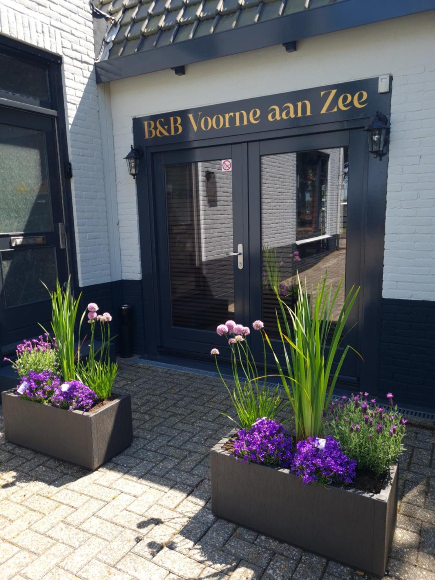 B&B Voorne Aan Zee Rockanje Buitenkant foto